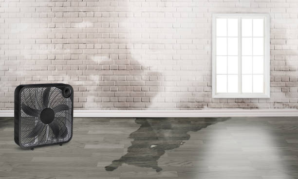 Best Water damage restoration near me  in Piney Point Village, TX
