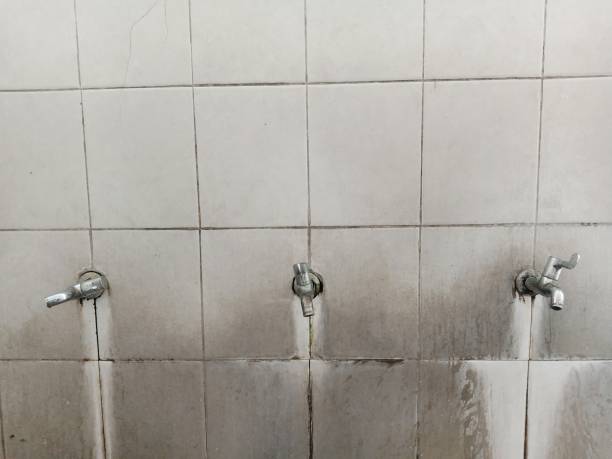 Best Mold removal after water damage  in Piney Point Village, TX